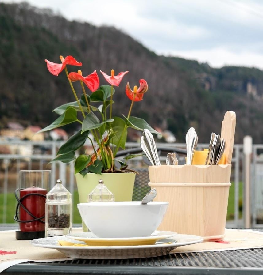 Ausblick Elbterrasse Zum Echtner